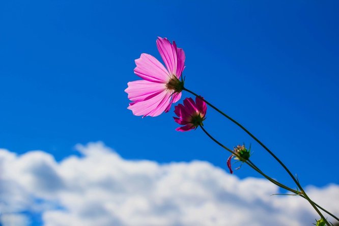 03858PICbr3a6i6Mbfz5Y_PIC2018.jpg