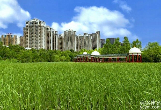 QQ截圖20230325102216.jpg