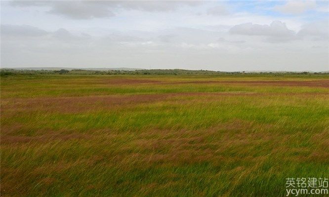 41230-152548.jpg
